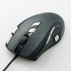 Mouse 1.jpg