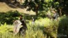 dragon-age-inquisition-screenshot-12-b7416.jpg