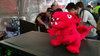 IMAG0183.jpg